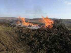 Atenție // Moldoveni care dau foc la frunze, amendați cu câte 10 mii de lei